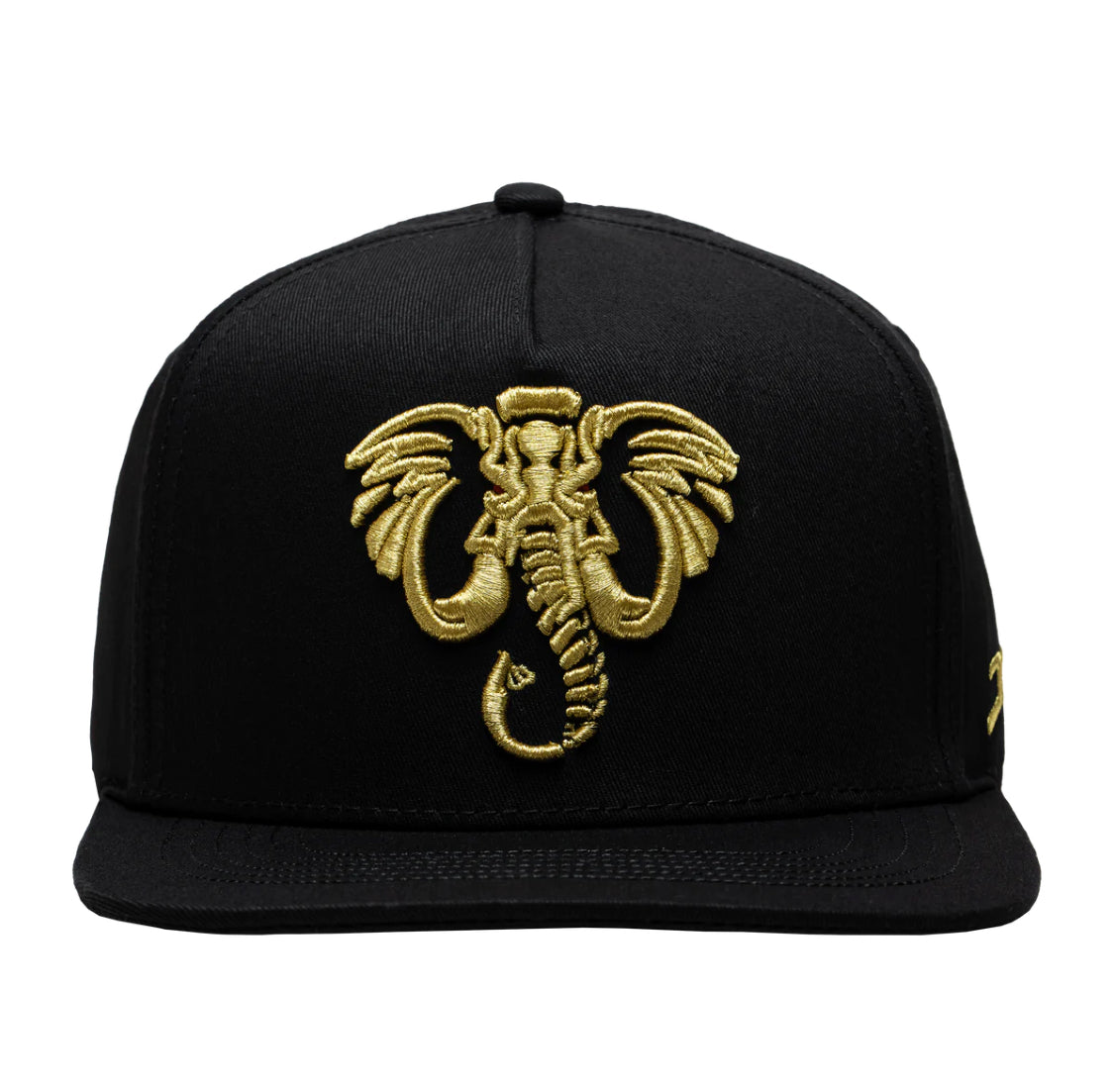 Elefante jc hats black